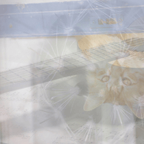 重なった写真中級問題で脳トレ中級問題集